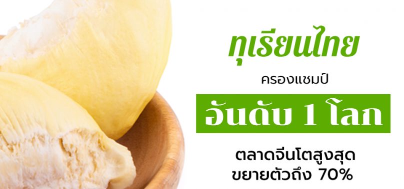 ไทยครองแชมป์ส่งออกทุเรียนอันดับที่ 1 โลก นำหน้าฮ่องกงและมาเลเซียกว่าเท่าตัว ตลาดจีนโตสูงสุด ขยายตัวถึง 70%