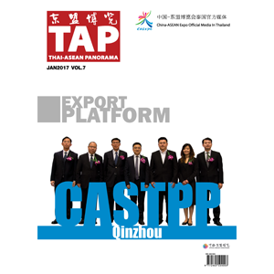 TAP Magazine Vol.7 January 2017