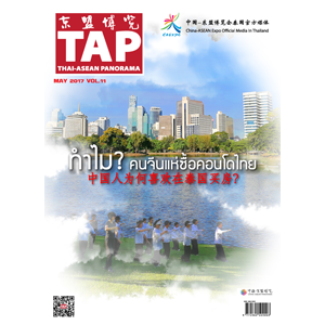 TAP Magazine Vol.11 May 2017