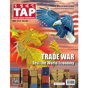 TAP Magazine Vol.29 November 2018