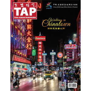 TAP Magazine Vol.42 December 2019