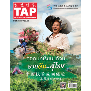 TAP Magazine Vol.52 October 2020