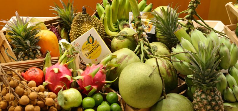 พาณิชย์ดันผลไม้ไทยเจาะตลาดจีน 14 เมือง