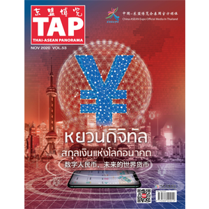 TAP Magazine Vol.53 November 2020