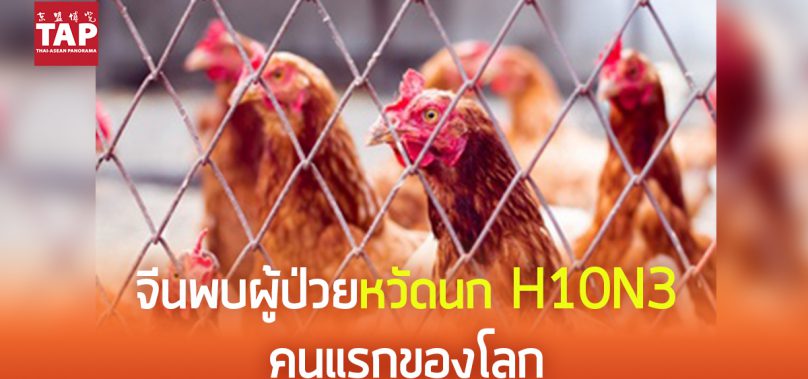จีนพบผู้ป่วยไข้หวัดนกสายพันธุ์ H10N3 คนแรกของโลก