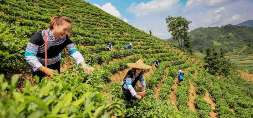Guangxi’s eco-friendly development pattern